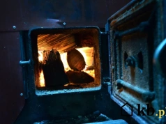 Sąsiad uprzejmie go "podkablował". Dostał 500 zł mandatu