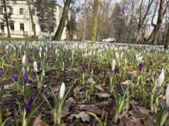 Uczestnicy 'Soboty w muzeum’ zwiedzali zrewitalizowany pałacowy park
