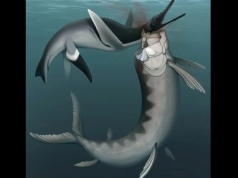 Scena jak z Parku Jurajskiego. Szczątki sprzed milionów lat to pozostałość po starciu dwóch bestii