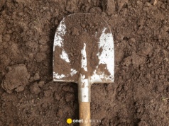 Matka i babka skazane za zabójstwo noworodka. Zakopały go żywcem koło kurnika