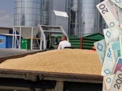 Ile dziś płacą za zboże i rzepak? Sprawdzamy ceny w skupach w całej Polsce