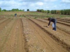 Płacą Polakom nawet 20 tys. zł miesięcznie. Nie mogą znaleźć chętnych