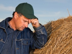 Kryzys uderza w rolników. „Tylko jedna uprawa pozwala osiągnąć niewielki zysk”