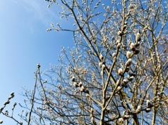 Pogoda na wtorek. Chłód i możliwe opady deszczu