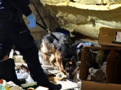 Policja rozbiła grupę z nielegalną bronią. Zabezpieczono arsenał