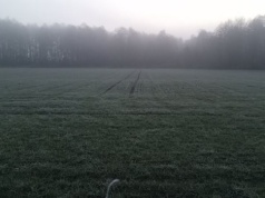 Przymrozki i deszcz. Pogoda na Święta Wielkanocne