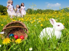 Wielkanocne tradycje w Niemczech – historia, symbole i ciekawostki, które warto znać