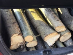 Udaremniona kradzież drewna w Koninie. Myślał, że nikt nie zauważy