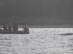 Poruszające wiadomości znad Bałtyku. Humbak znów utknął w zatoce