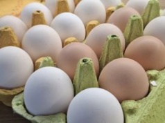 Wielu myśli, że takie jajka są gorsze. Sprawdzamy, co oznacza kolor skorupki