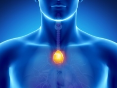 Ten narząd przez lata uważany był za nieistotny dla zdrowia. Nowe badanie sugeruje co innego