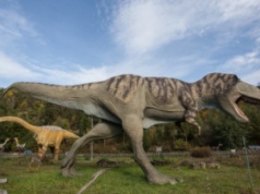 Dinozaury miały hybrydowy system opieki nad jajami