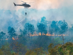 Unia Europejska. 2025 roku to najgorszy sezon pożarów lasów w historii – spłonęło ponad 1,079 mln hektarów