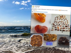 Zła pogoda ma swoje plusy. Pokazali cenne znaleziska. "Złoto Bałtyku leży w patykach"