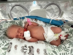 Zielona Góra. Mamy kolejne trojaczki w zielonogórskim szpitalu (ZDJĘCIA)