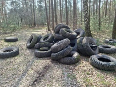 Kilkadziesiąt opon porzuconych w lesie pod Piotrkowem. Nadleśnictwo poszukuje sprawców