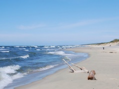 Niezidentyfikowany obiekt odnaleziono na plaży w Piaskach, niedaleko granicy z Federacją Rosyjską