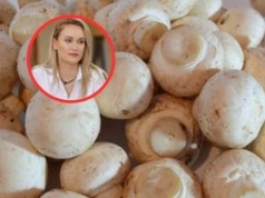 Gdzie trzymać pieczarki? Rolniczka zdradza prosty trik