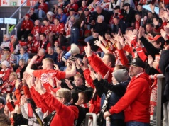 Stalownicy mają sponsora tytularnego! Polski producent melisy będzie przygotowywał dla kibiców bezpłatne napary w trakcie meczów