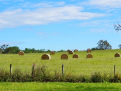 463 hektarów sprzedane magnatowi hotelowemu. Rolnik podał jeden powód