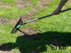 Skosił trawnik zaraz po zimie i po tygodniu pojawiły się żółte plamy – dopiero później sprawdził temperaturę gleby