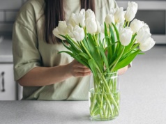 Twoje tulipany opadły? Są sposoby, by wstały jak najszybciej