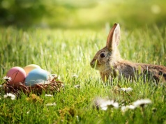 Ładne życzenia wielkanocne po niemiecku. Krótkie, religijne, śmieszne, jest w czym wybierać!