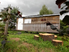 Kilka centymetrów bliżej i masz problem. Ta odległość może cię kosztować nawet 10 tys. zł
