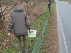 Bezpieczna droga do wody. Trwa akcja ratowania płazów we Wrzelowieckim Parku Krajobrazowym