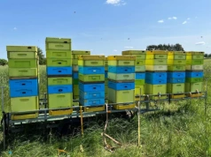 Już można ubiegać się o „ulowe”. Stawka dofinansowania bez zmian