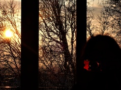 W wieku 58 lat dowiedziała się, że ma autyzm: To się nie może wydać