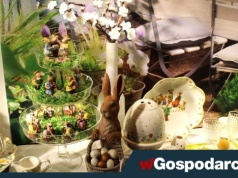 Wielkanocny już stół podrożał. Najgorsze przed nami?