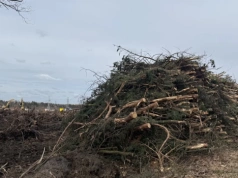 Wycinają drzewa pod drogę. Przebudowa ulicy Wojska Polskiego w Jaworznie