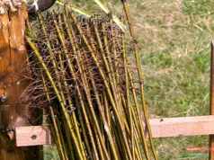 Polska wiklina podbija zagraniczne rynki. Tradycyjne rzemiosło rośnie dzięki eksportowi i e-commerce