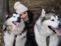 Malamut w centrum afery zoofilskiej. Wracają pytania o psa