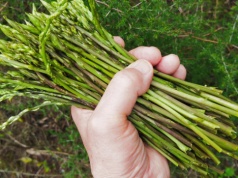 Polacy mają notoryczne niedobory. Skutki: demencja, zmęczenie, anemia