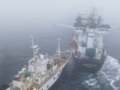 Ekoterroryzm. Statek aktywistów staranował kuter legalnie łowiący kryla