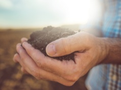 Niepokojący start sezonu: wilgoć znika z gleby w szybkim tempie