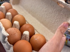 Wytłoczki na jajka to Papier i na pewno w niebieskim koszu? A skorupki i żółtka?