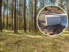 Leśnicy pokazali zdjęcie i grzmią. "Akt ludzkiej głupoty"