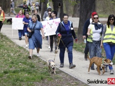 Bezdomniaki z Pogodnej znów przemaszerują przez miasto. Będą zachęcać do adopcji