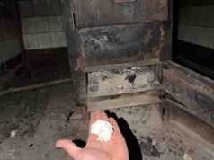 Zielona Góra. Pseudohodowla jak z horroru, psy i koty zabijano uderzeniem w głowę i palono w piecu