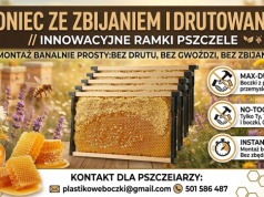 Plastikowe boczki – innowacyjne ramki pszczelarskie na Expo2Bee