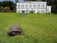 Najstarsze zwierzę lądowe wykorzystane przez oszusta