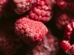 Groźna bakteria w mrożonych owocach. GIS ostrzega