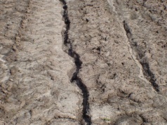 Niewidzialny problem na polach. Erozja zabiera żyzność gleby