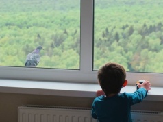 "Przyjęliśmy rodzinę pod dach. Po roku wiedziałam, że to był błąd"