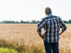 Musi oddać ponad 5 mln zł. Polski rolnik-rekordzista