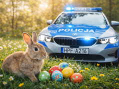 Bezpiecznej drogi na święta, na co zwracać uwagę