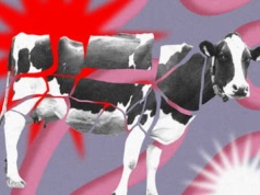 Czy mięso sprzyja nowotworom? Bez wątpienia